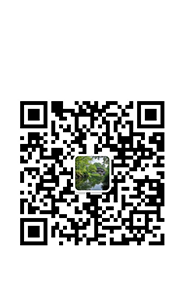 微信公众号